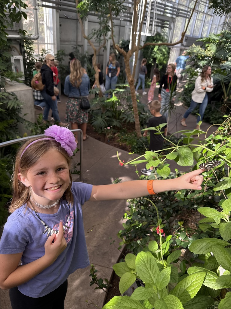 Butterfly Biosphere 