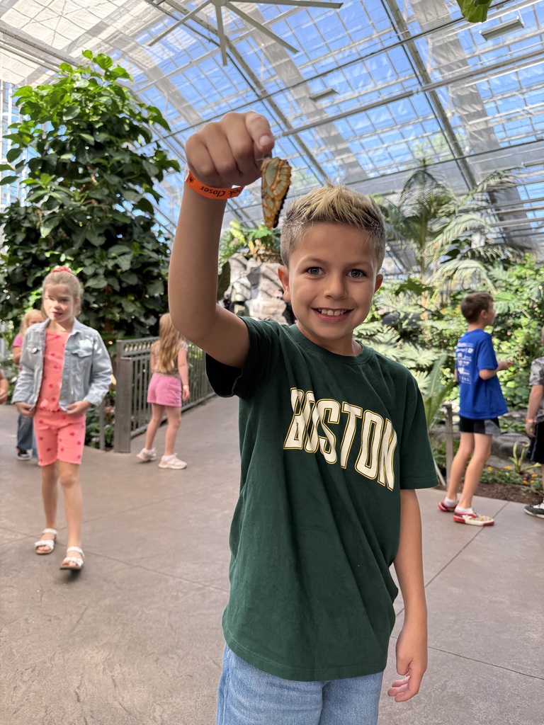 Butterfly Biosphere 