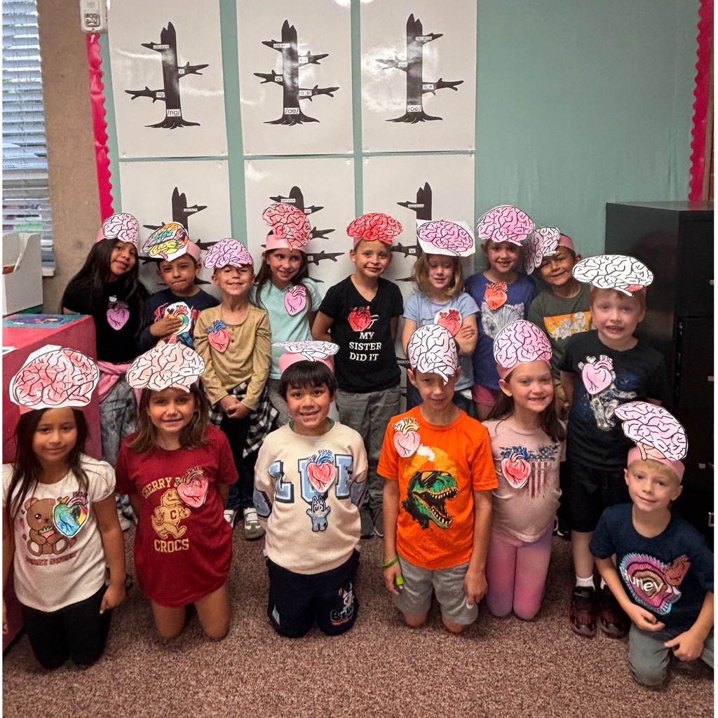Mrs. Anderson’s class