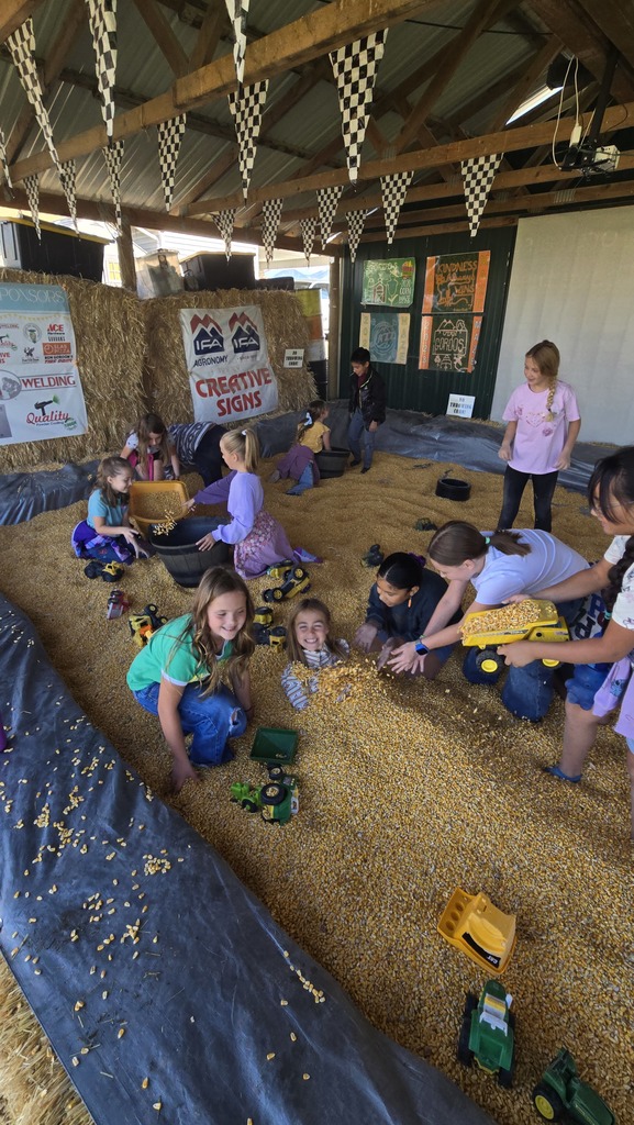 A group of kids playing in a corn pit