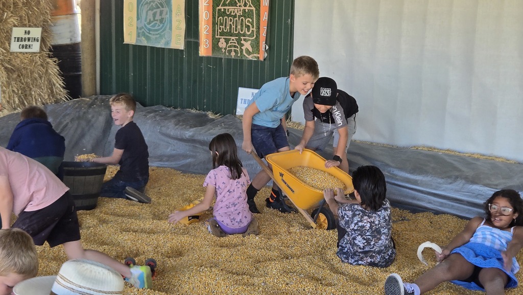 students playing with a wheelbarrow full of corn in a corn pit