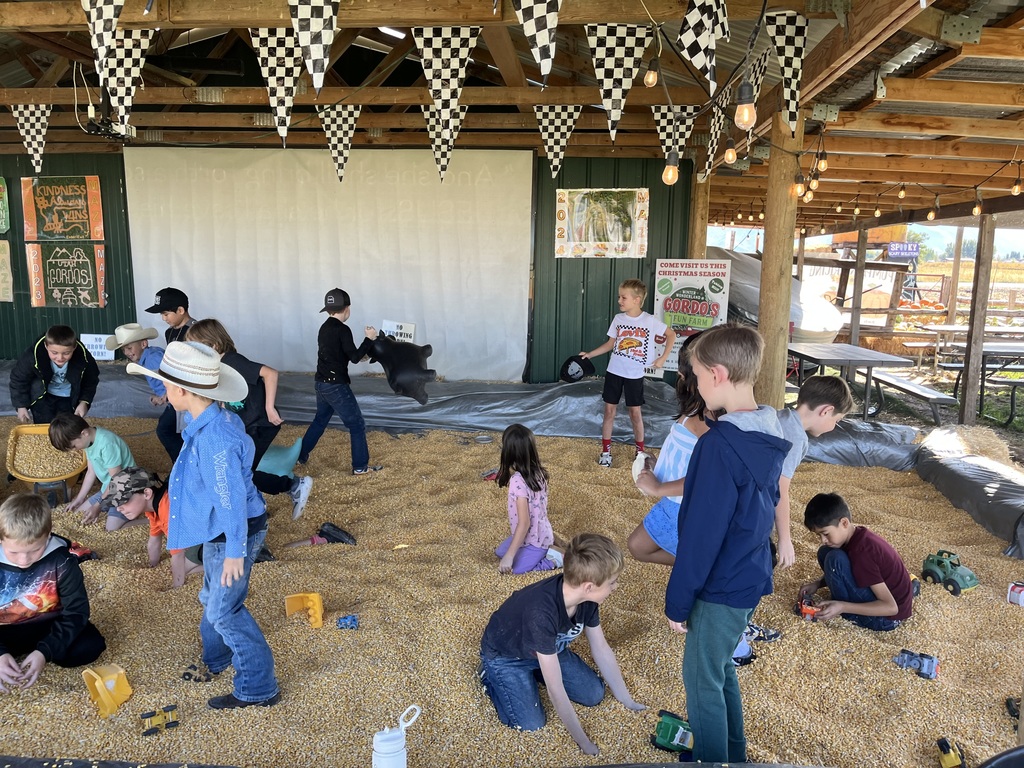 many boys playing with toys in a corn pit