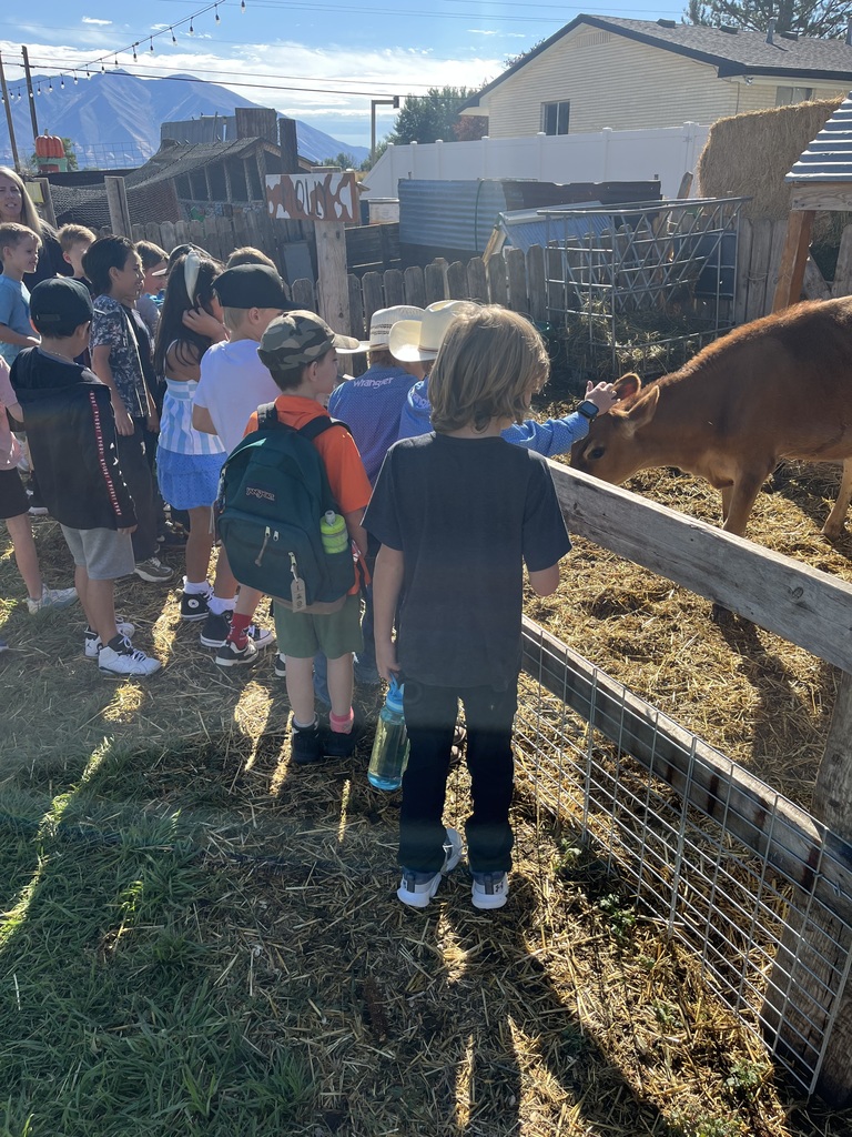 students lined against a fence to look at and pet a cow
