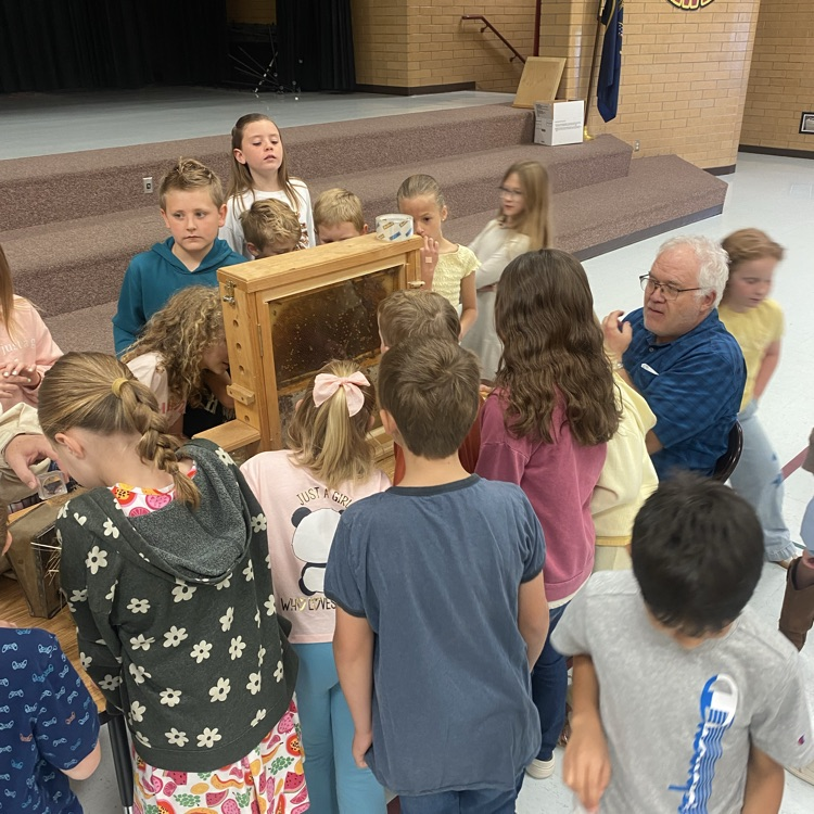 students surrounding a beehive observation