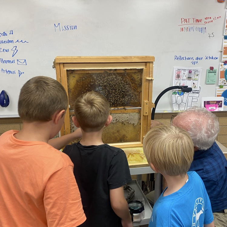 three students looking at a beehive