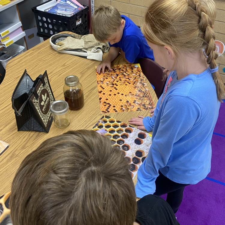 students looking at pictures that explain beehives