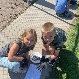 students disecting owl pellets