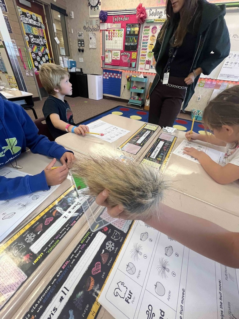 Students working on assignment about fur and wind at desks.