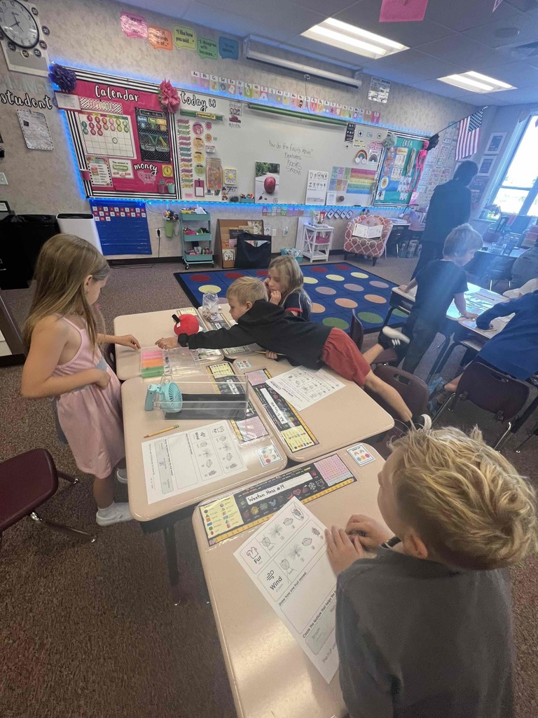 Students working on assignment about fur and wind at desks.
