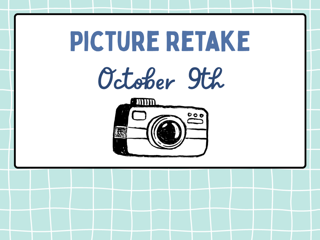 Picture retake