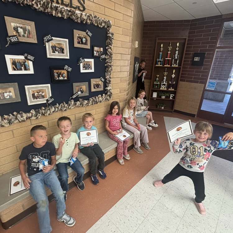 Falcon Board Winners