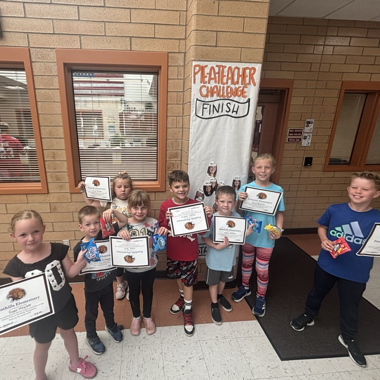 Falcon Board Winners