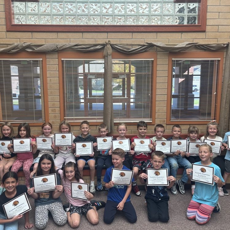 Falcon Board Winners