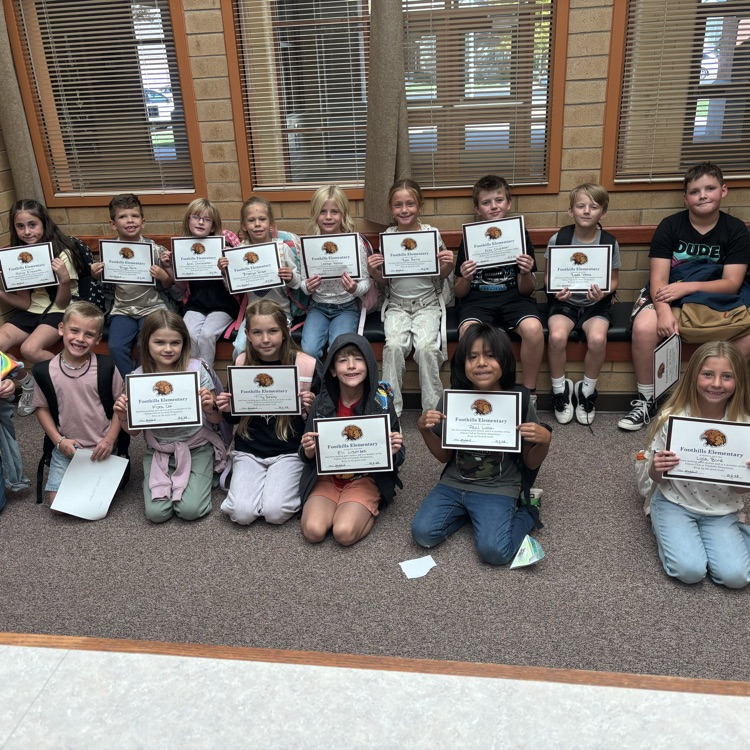 Falcon Board Winners