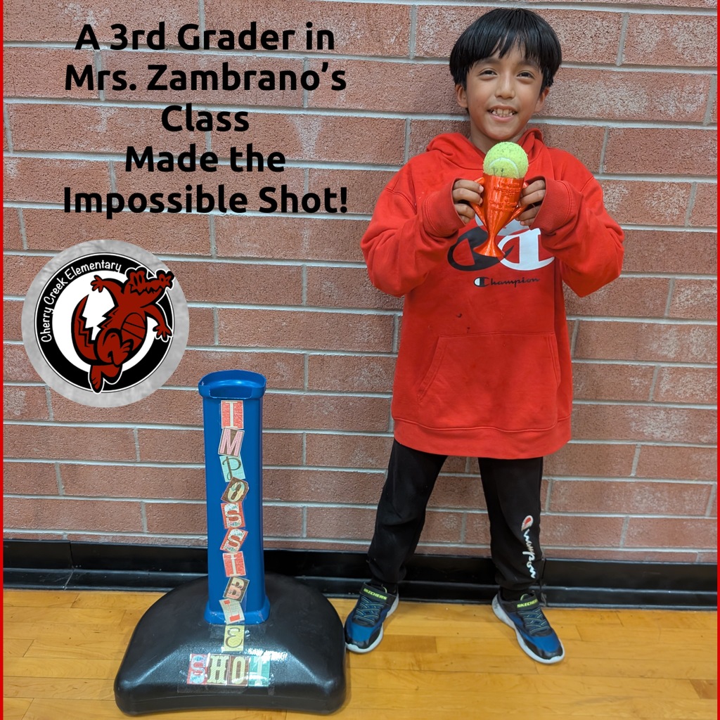  Another 3rd Grader Makes the Impossible Shot