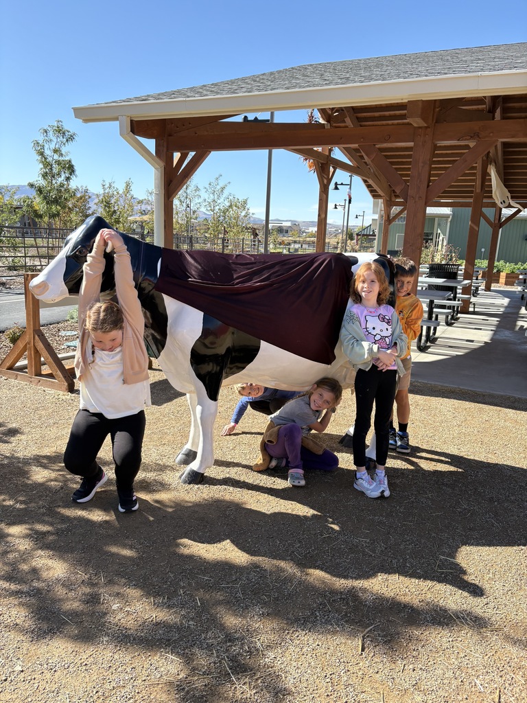 Thanksgiving Point Farm