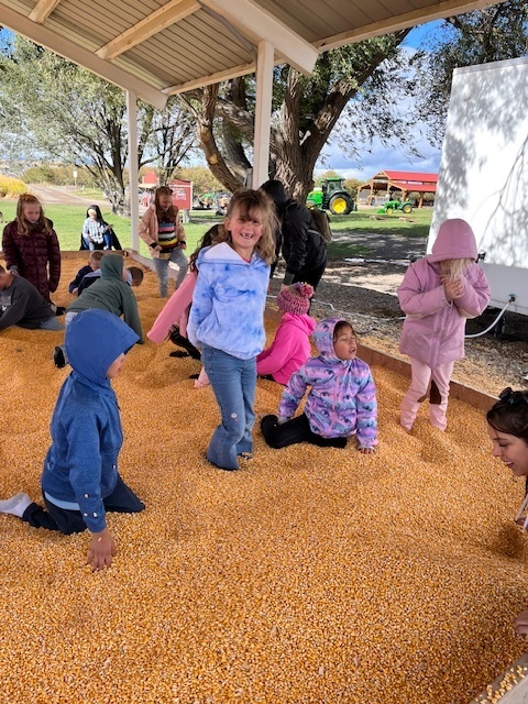 a group of students playing in a corn pit with one girl posing for the camera in the center