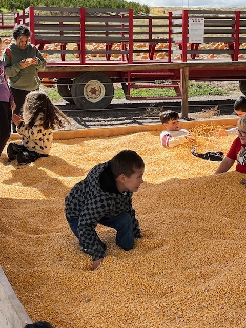 a child playing in a corn pit