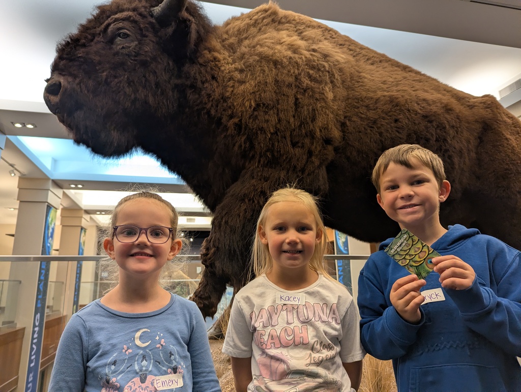 Kindergarten Field Trip