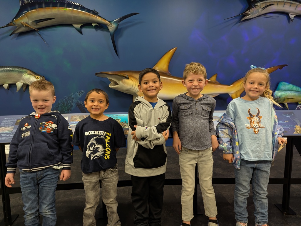 Kindergarten Field Trip