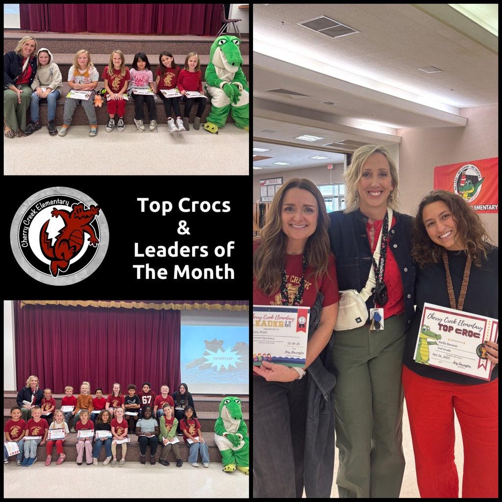 Top Crocs and Leaders of the Month