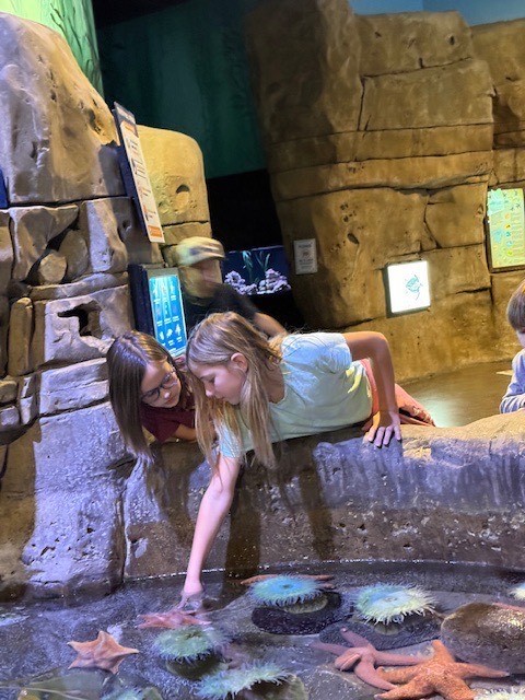 Students touching starfish.