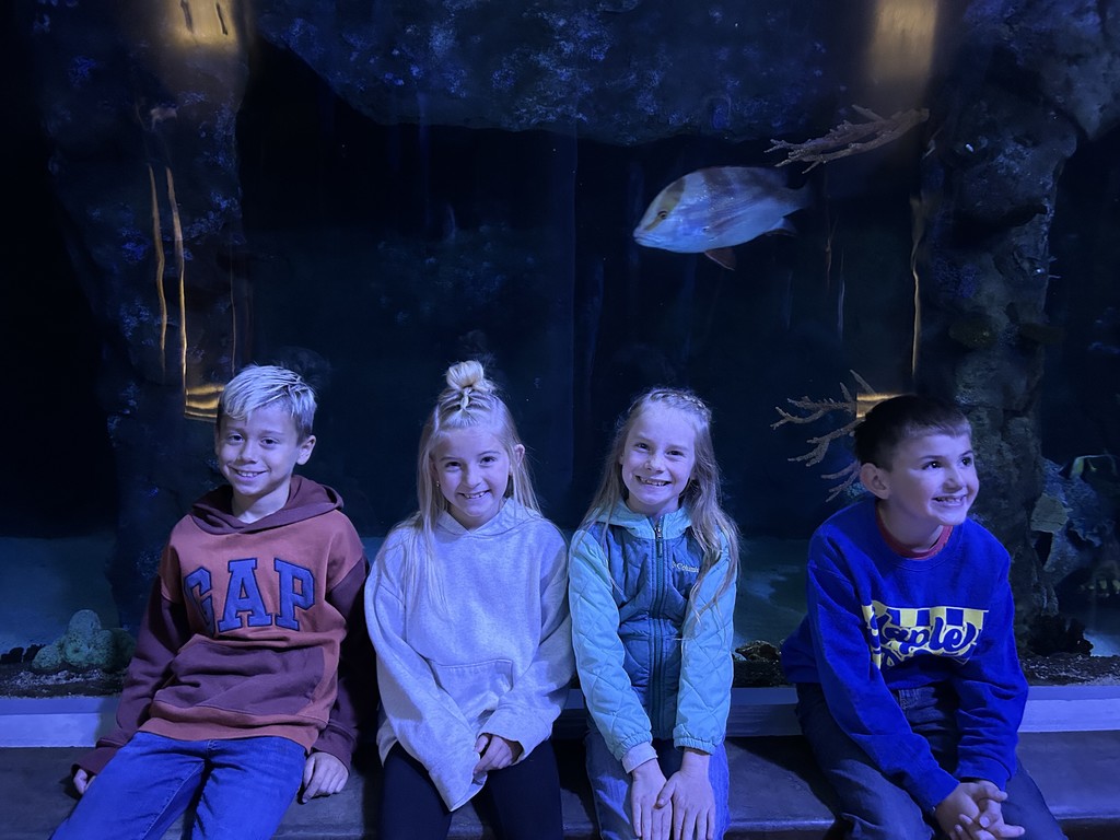 Students sitting in front of an aquarium.