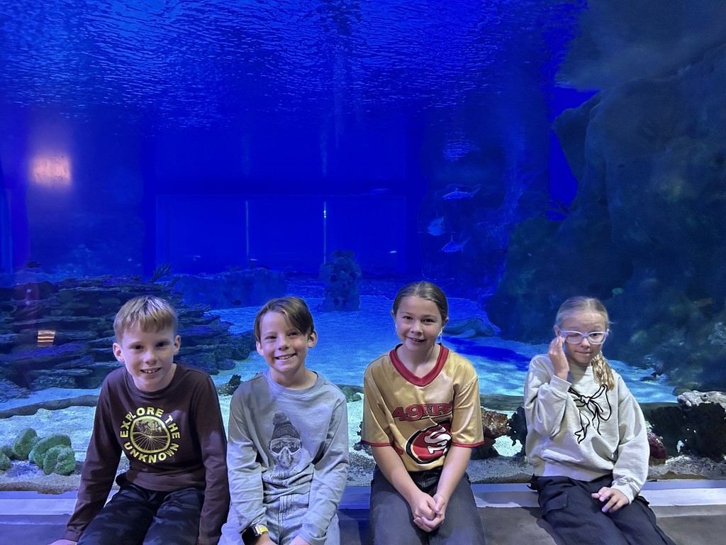 Students sitting in front of an aquarium.
