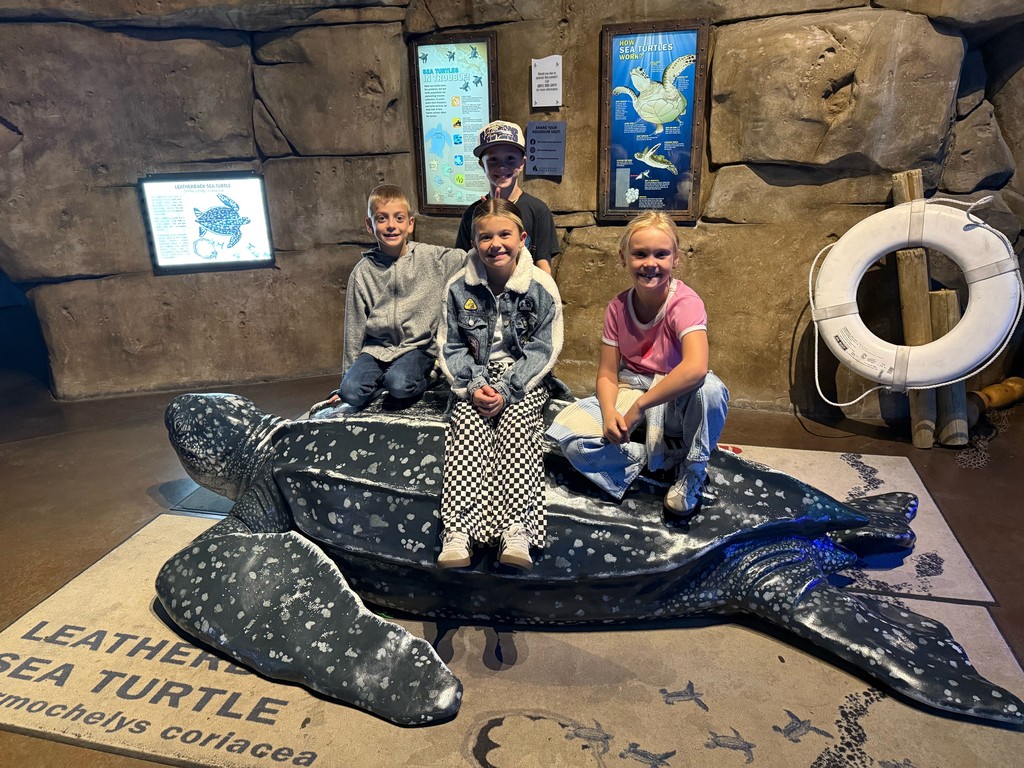 Students sitting on a large replica of a turtle.