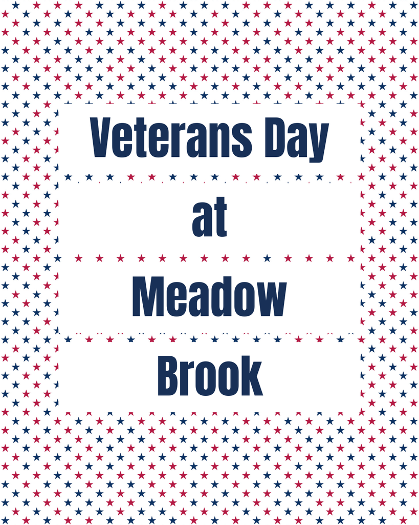 veterans day at meadow brook