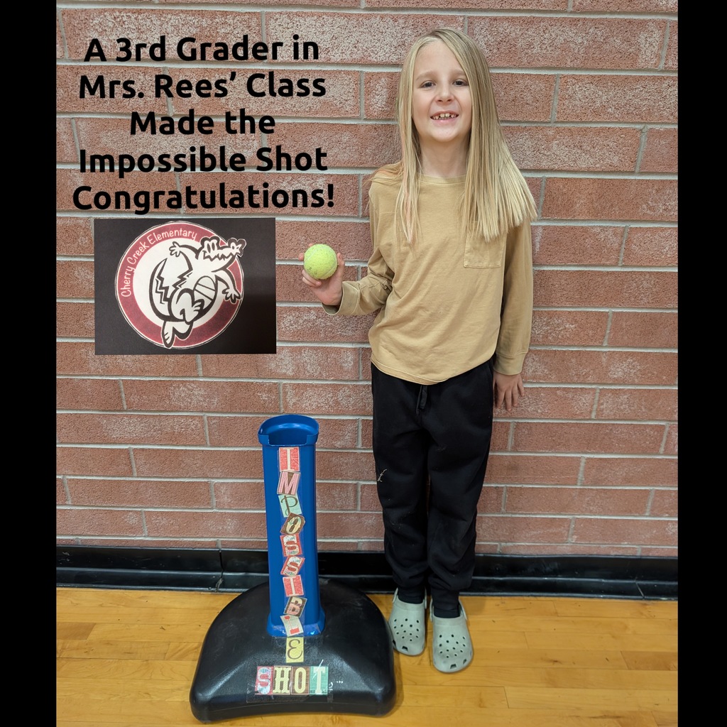 A 3rd Grader Makes the Impossible Shot