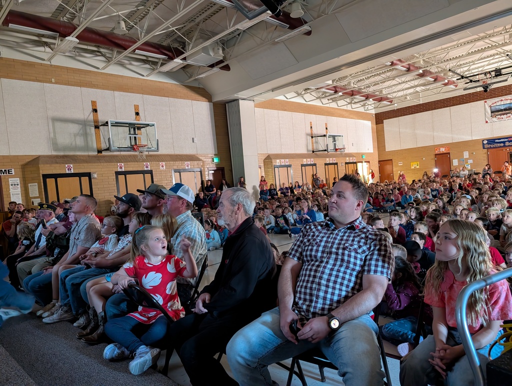 Veterans Day Celebrations