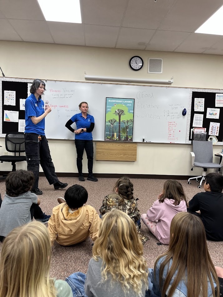 Mrs. Grills Rainforest Van