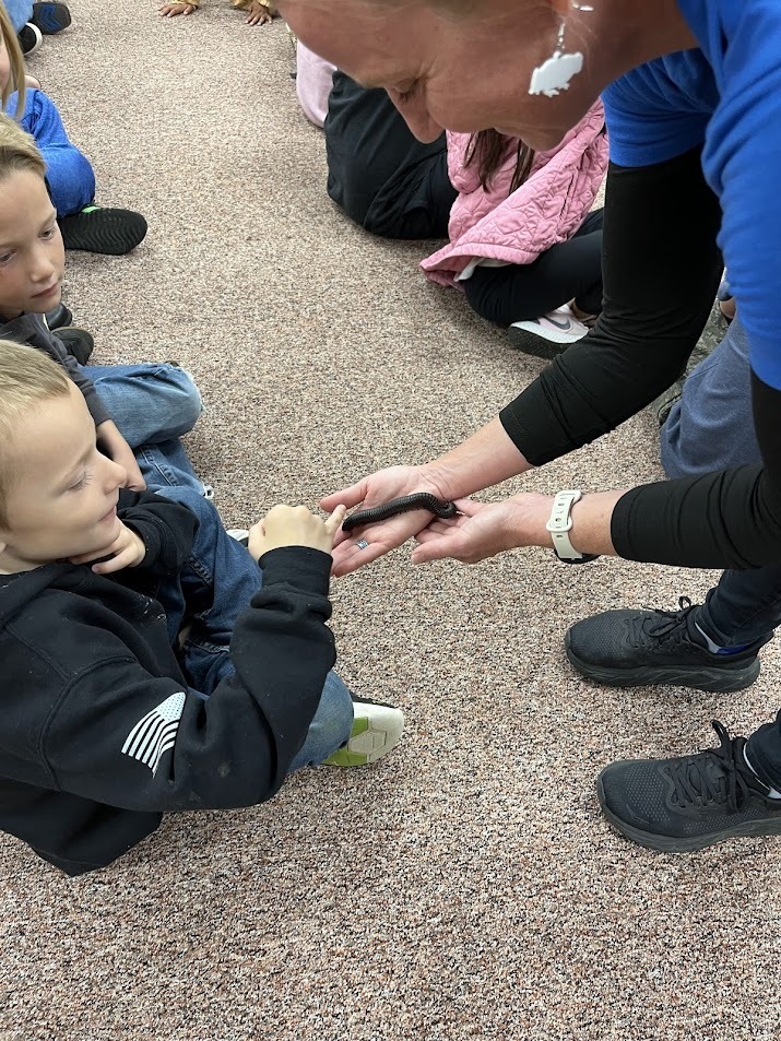 Mrs. Grills Rainforest Van