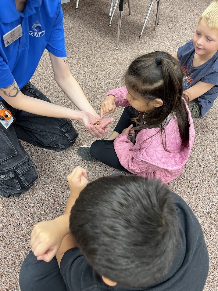 Mrs. Grills Rainforest Van