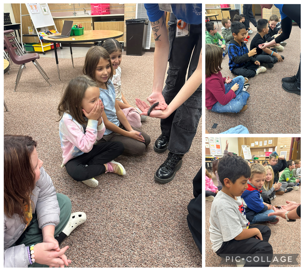 Miss Jacobsen's class with the Rainforest Van