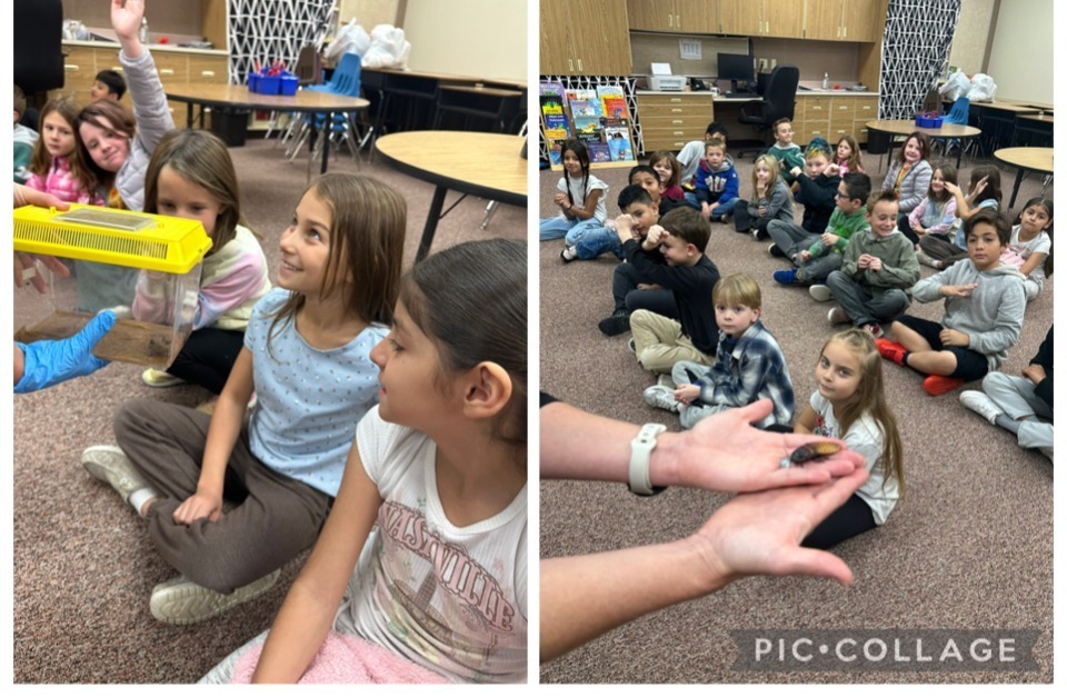 Miss Jacobsen's class with the Rainforest Van