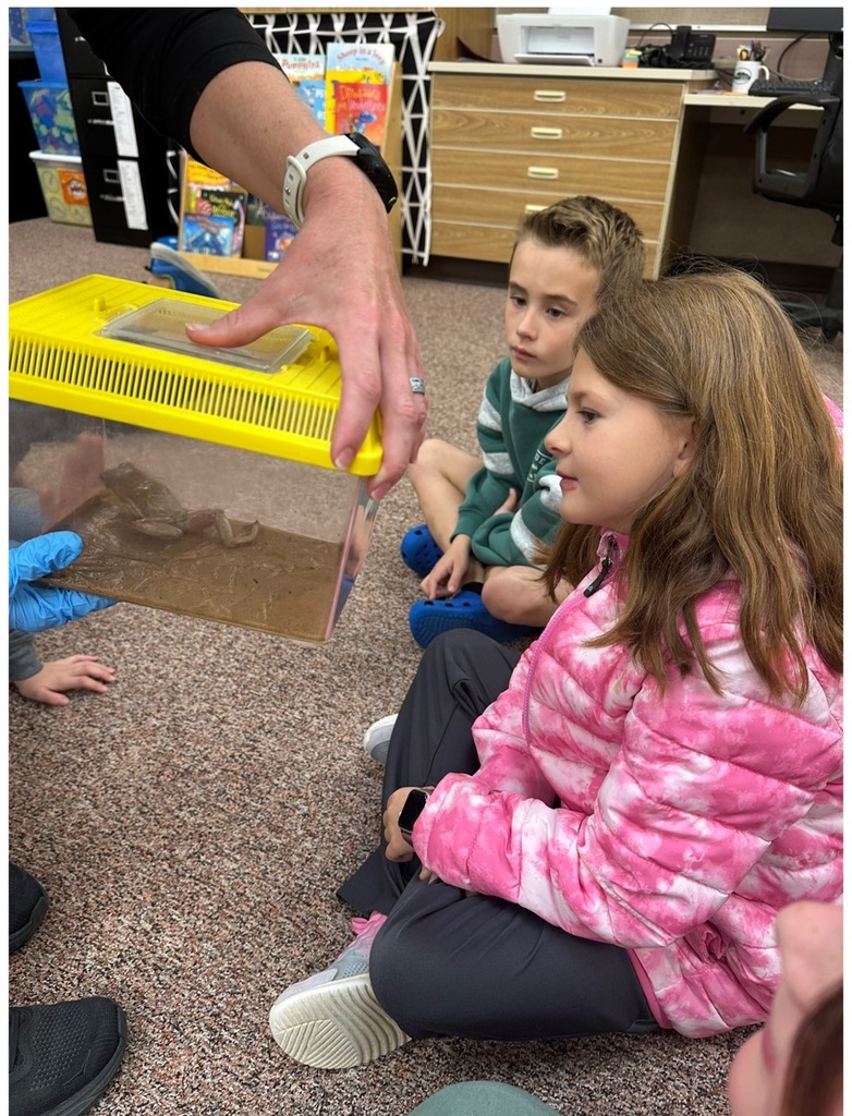 Miss Jacobsen's class with the Rainforest Van