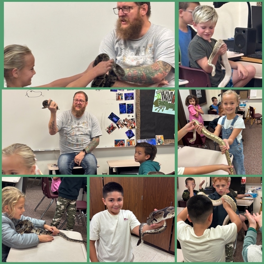 Learning about snakes