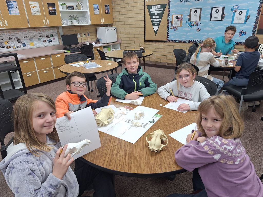 Students looking a skulls