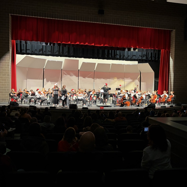 entire orchestra on the stage