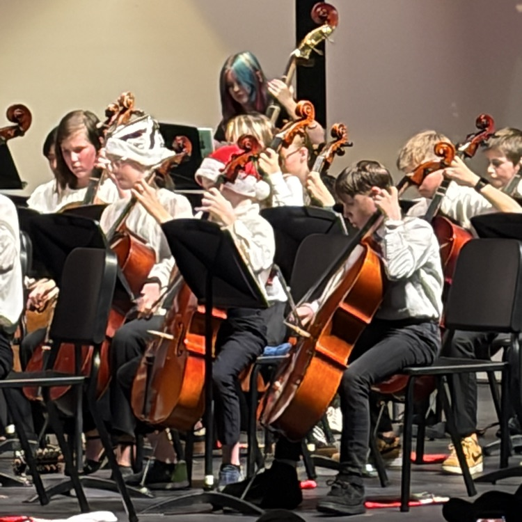 several students playing instruments