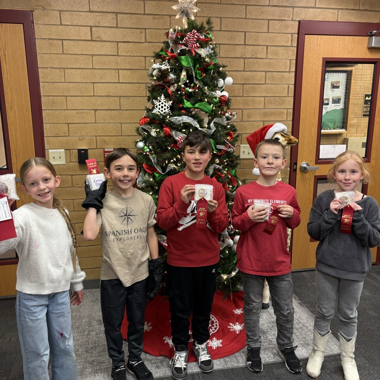 reflection winners next to tree