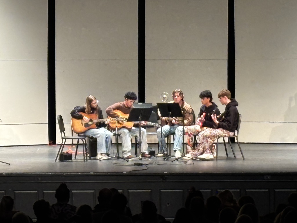 guitar/ukulele concert