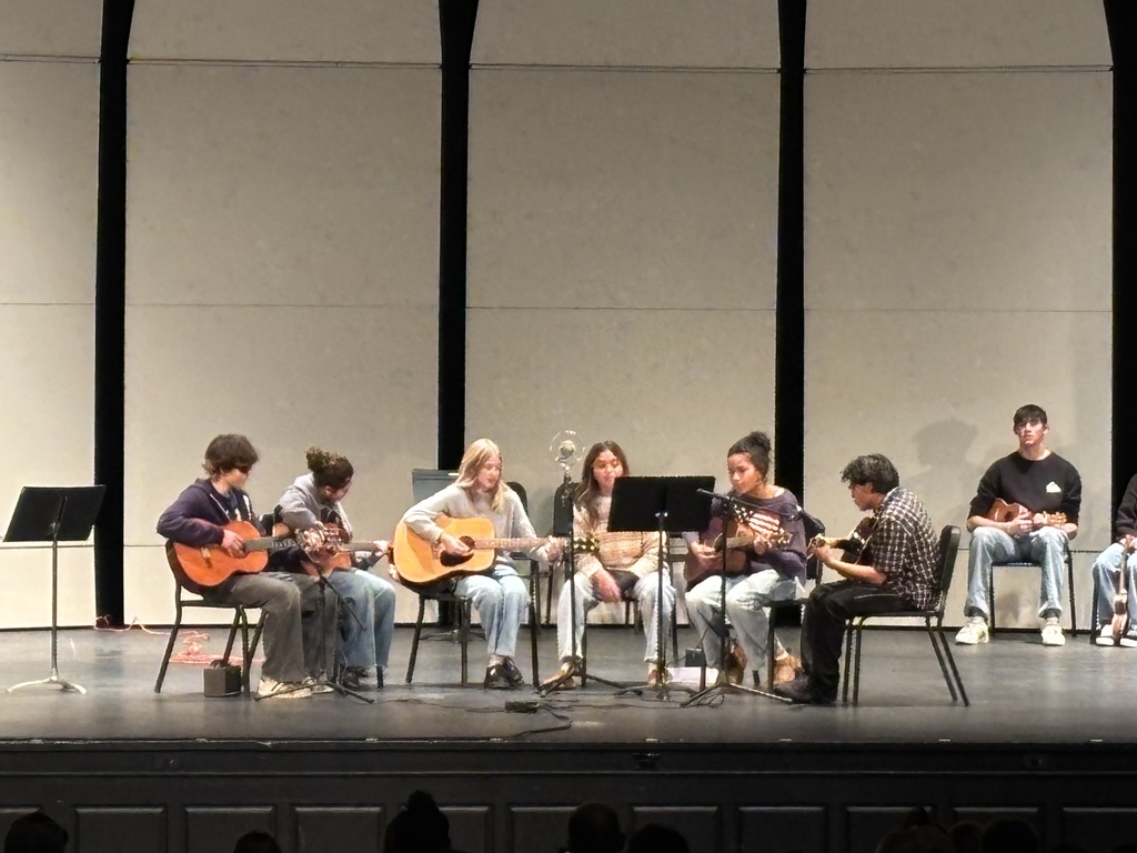 guitar/ukulele concert