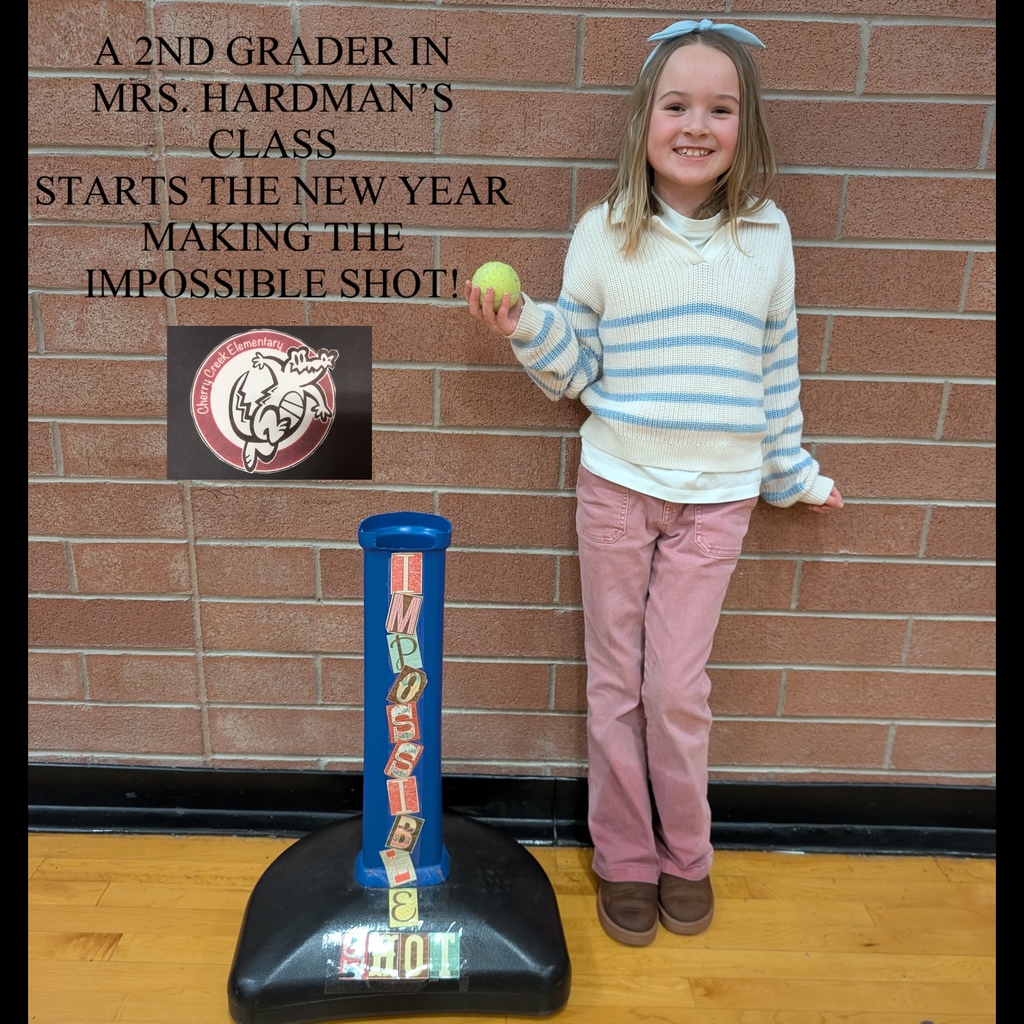 The 1st Impossible Shot of 2026