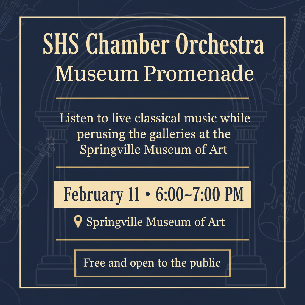 Chamber Orchestra concert