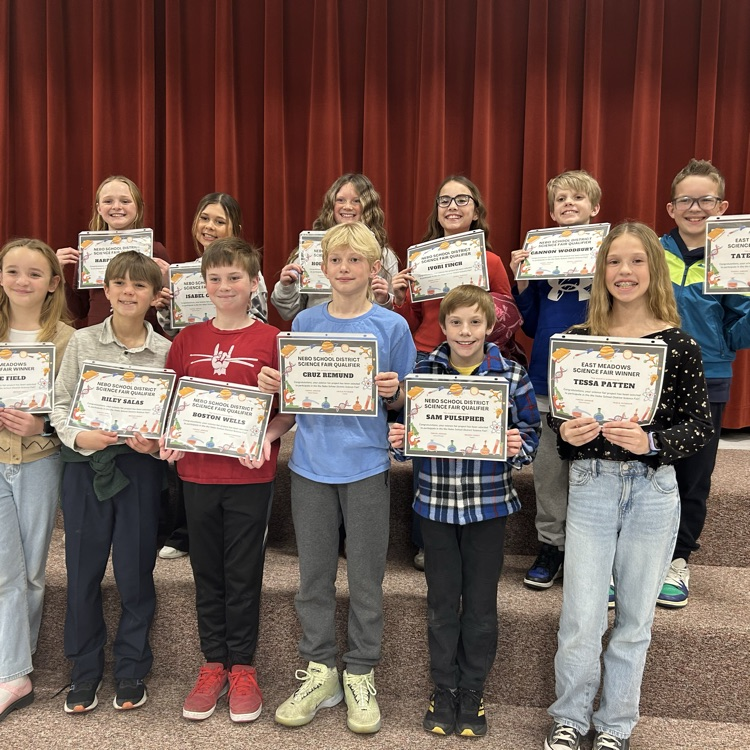 science fair 