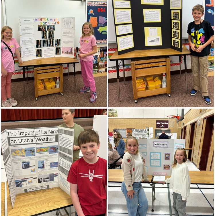 science fair 