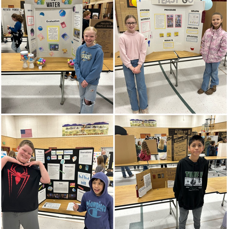 science fair 